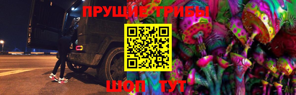 Псилоцибиновые грибы MAGIC MUSHROOMS  Вход с VPN  Родники 